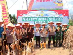 Pemkab Lamteng Berkomitmen Mendukung Program Swasembada Pangan Nasional Tahun 2025 Dalam Kegiatan Panen Raya Jagung Serentak Kuartal II