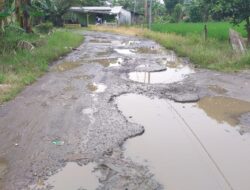 Jalan Usaha Pertanian dan Perkebunan Di Areal Ponpes Babul Hikmah Kalianda Lamsel Rusak Berat Bertahun-tahun, Butuh Perhatian Serius dari Pemkab Setempat
