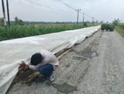 Diduga Proyek Bodon Tanpa Plang di Wilayah Kampung Donoarum, Warga Sekitar Menilai Ada Kecurangan Bahan Baku