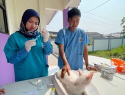 Dinas Pertanian Kab Bekasi Adakan Vaksinasi Rabies Bagi Hewan Peliharaan Secara Gratis