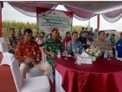 Panen Raya Jagung secara Nasional, Camat Kalianda Lamsel Hadiri Bersama Di Desa Kedaton