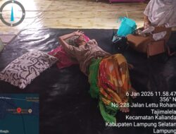 Lapor Bapak Presiden RI, Ada Seorang Nenek 79 Tahun Yang Sakit Lumpuh, Di Canggu Kalianda Lamsel Mengharapkan Sodakoh PRABOWO SUBIANTO Secuil Saja Pak🙏🏻